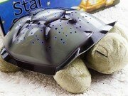 Ночник-проектор "Звездная черепаха" (музыкальная)